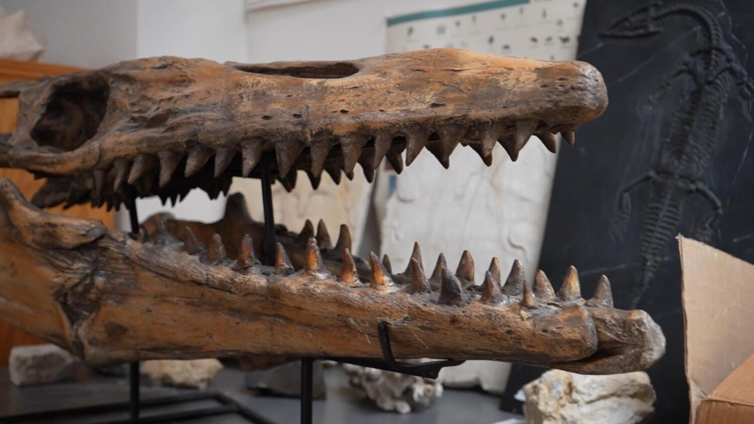 The Tarleton State Geological Society